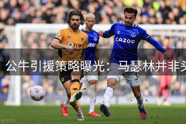 公牛引援策略曝光：马瑟林并非头号目标 管理层更看重这两项特质
